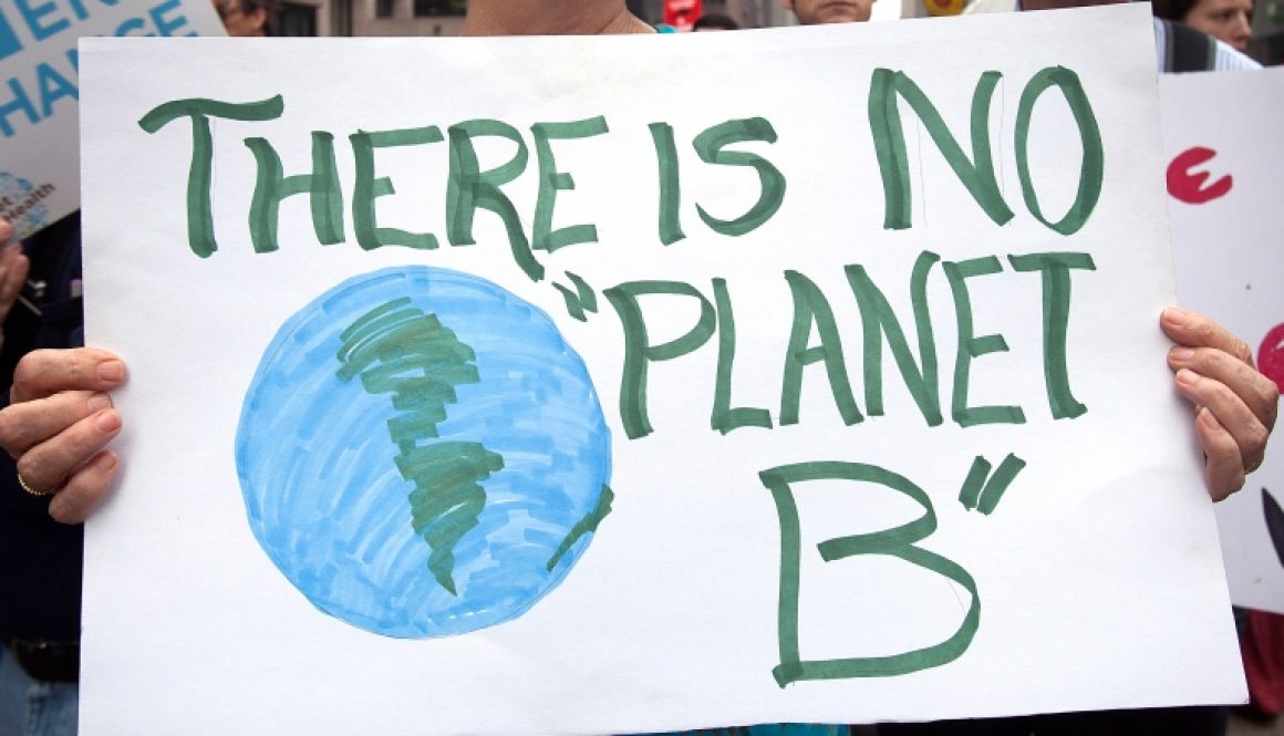 usa-climatechange-march